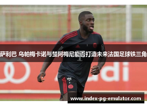 萨利巴 乌帕梅卡诺与楚阿梅尼能否打造未来法国足球铁三角
