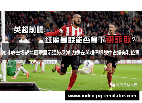 谢菲联主场战绩回暖显示强势反弹 力争在英超保级战中占据有利位置 谢菲联主场战绩回暖显示强势反弹 力争在英超保级战中占据有利位置