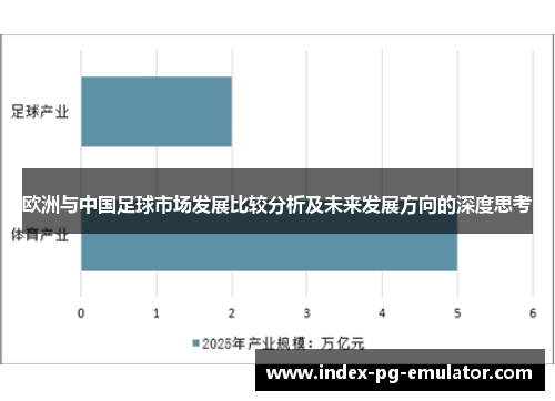 欧洲与中国足球市场发展比较分析及未来发展方向的深度思考