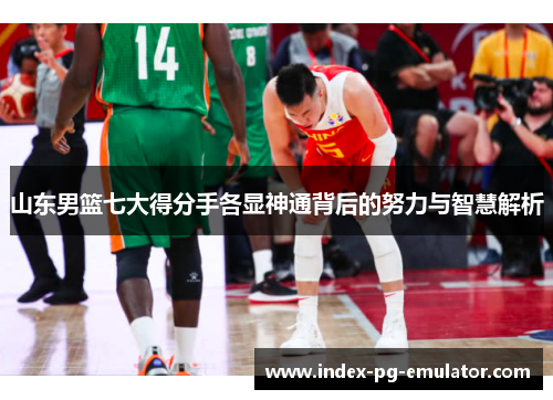 山东男篮七大得分手各显神通背后的努力与智慧解析