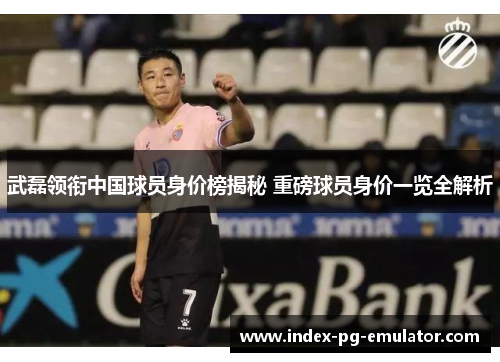 武磊领衔中国球员身价榜揭秘 重磅球员身价一览全解析