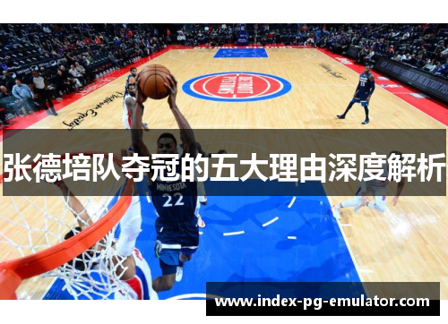 张德培队夺冠的五大理由深度解析 张德培队夺冠的五大理由深度解析
