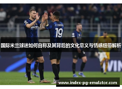 国际米兰球迷如何自称及其背后的文化意义与情感纽带解析