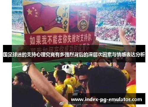国足球迷的支持心理究竟有多强烈背后的深层次因素与情感表达分析