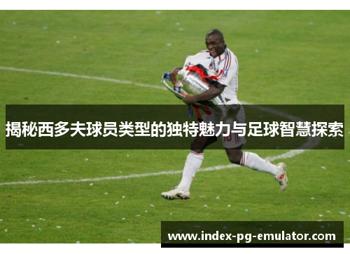 揭秘西多夫球员类型的独特魅力与足球智慧探索