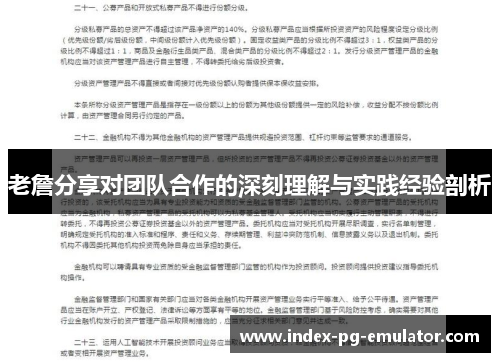 老詹分享对团队合作的深刻理解与实践经验剖析